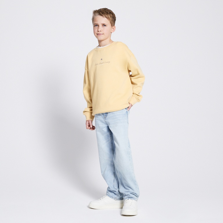 Printed Sweatshirt "Vilgot"